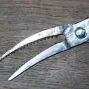 Pince à "bec de corbin"