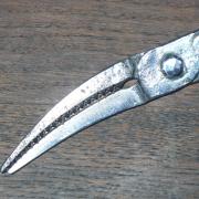 Pince à "bec de corbin"